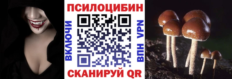 Псилоцибиновые грибы MAGIC MUSHROOMS  omg рабочий сайт  Новодвинск 